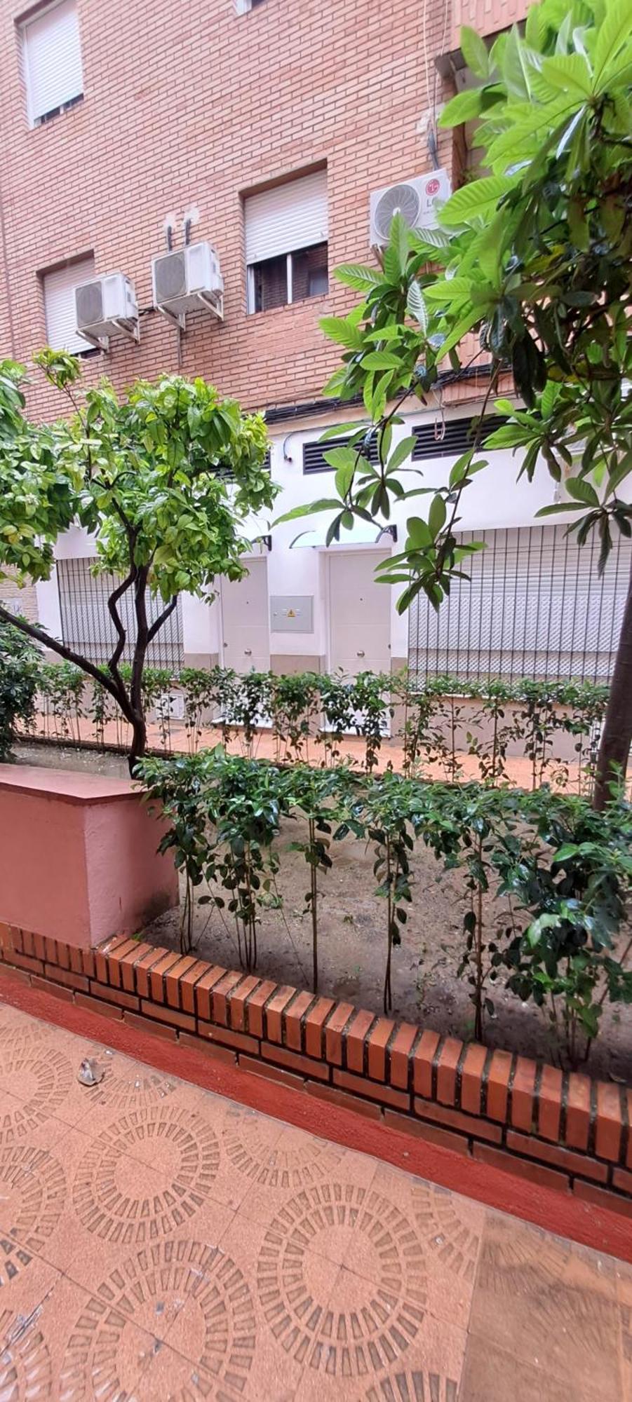 Apartamentos Suite Sol Córdoba Kültér fotó